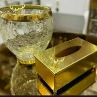 سطل و جادستمال کاغذی، تنگ و جام، شات، جاقاشقی