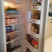 یخچال پارس|یخچال و فریزر|شیراز, چوگیاه‎|دیوار