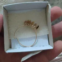 گوشواره گمشده