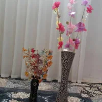 دوتا گلدان زیبا