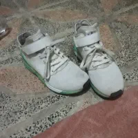 zxفولوکس ساق دار کفه کاهویی|کیف، کفش، کمربند|بهارستان, |دیوار