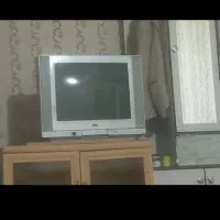 تلویزیون