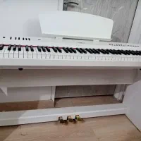 پیانودیجیتال برگمولرp10 سه پدال