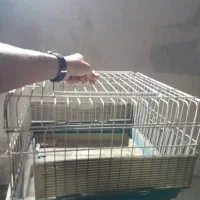 قفس خرگوش و پرنده