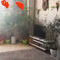 فروش آپارتمان دوخوابه در بلوار صداقت|فروش آپارتمان|شیراز, امام حسین|دیوار