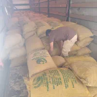 زردچوبه قلم نظام ابادی لوکس دابل پالایش|خوردنی و آشامیدنی|شیراز, معالی‌آباد|دیوار