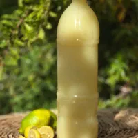 آب لیموی دزفولی