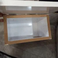 لانه طوطی برزیلی ، دانخوری چوبی طوطی|پرنده|اسلام‌‌آباد غرب, |دیوار