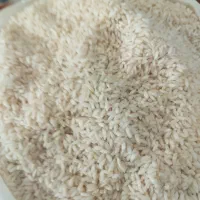 برنج دودی سنتی اعلا