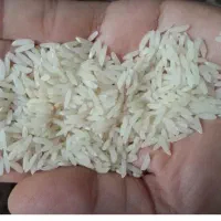 برنج طارم محلی  معطر ومرغوب