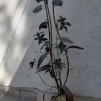 آباژورقدیمی فلزی خوشگل|چراغ خواب و آباژور|سیرجان, |دیوار