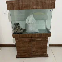 اکواریوم