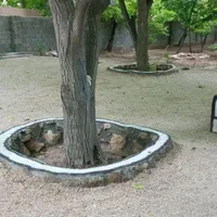 اجاره. اقامتگاه اندیشه.کلاته نقی|اجارهٔ کوتاه‌مدت ویلا و باغ|بجنورد, |دیوار