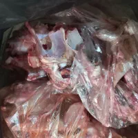 ضایعات مرغ