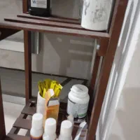 عروس هلندی لوتیانو جفت|پرنده|رودهن, |دیوار