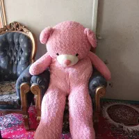 من تعدادی عروسک فروشی دارم