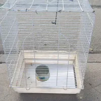 قفس خوب ودرجه یک