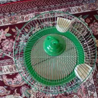 قفس پرنده
