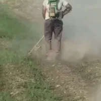 هرس وعلف زنی