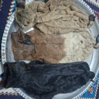 خیگ روغنی با مشک آبی با بهترین کیفیت