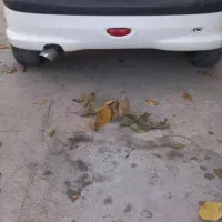 ۲۰۶ تیپ ۳ مدل ۹۵|خودرو سواری و وانت|درودزن, |دیوار