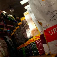 غذا خشک جوسرا رویال هپی کت رفلکس  مونلو انو روتیکا