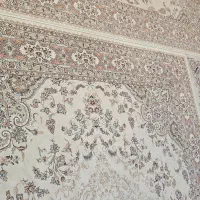 فرش ۱۲ متری ۵۰۰ شانه|فرش|کرمانشاه, |دیوار