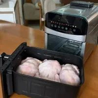 سرخ کن میوه خشک کن دار  سیخ جوجه گردون بوفالو بزرگ|سایر لوازم برقی|یزد, |دیوار