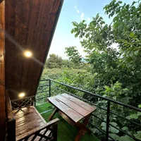 اجاره روزانه کلبه سوییسی جکوزی دار جنگلی|اجارهٔ کوتاه‌مدت ویلا و باغ|چالوس, |دیوار