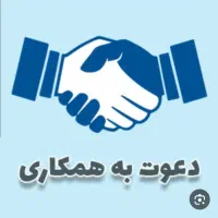آقا مغازه الکتریکی