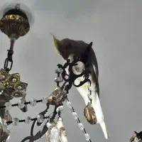 عروس هلندی ماده سالم سرحال اهلی