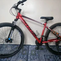 دوچرخه اورلرد