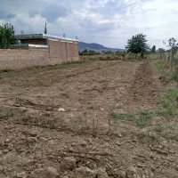 زمین روستای سرکهریزا|فروش زمین و ملک کلنگی|آزادشهر, |دیوار