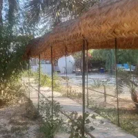 حصیر راه رو