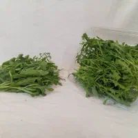 کاهو فرانسوی ریحان ایتالیایی|خوردنی و آشامیدنی|شیراز, جوادیه|دیوار