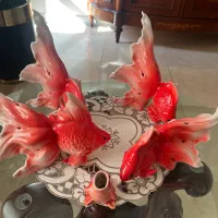 ماهی قرمز خارجی|ماهی|تهران, سهروردی|دیوار