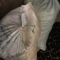 گردو|خوردنی و آشامیدنی|تهران, دبستان|دیوار