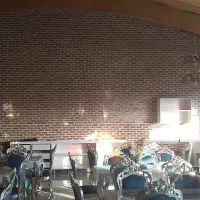 میزبان وسالن کار