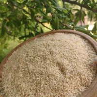 برنج درشت لاشه و نیم دانه هاشمی مستقیم از کشاورز|خوردنی و آشامیدنی|سنگر, |دیوار