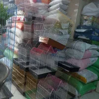 خرید وفروش قناری فنج عروس هلندی مرغ عشق|پرنده|شهرکرد, |دیوار