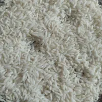 فروش برنج|خوردنی و آشامیدنی|تاکستان, |دیوار