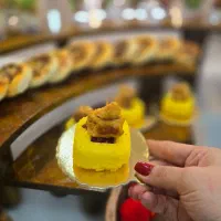 آموزش فینگرفود مبتدی تا پیشرفته|خدمات آموزشی|شیراز, معالیآباد|دیوار