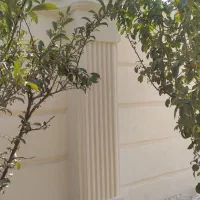 استادبنا بنایی انجام کار ساختمانی باغ ویلا