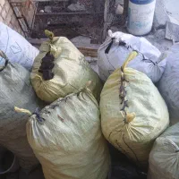 درشت بدون خاکه