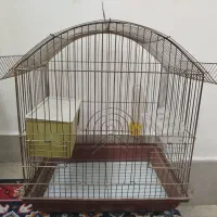 قفس پرنده طوطی عروس