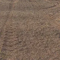 زمین صاحب چسپیده به پمپ بنزین