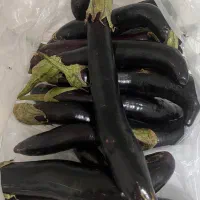 بادمجان چاه بلند