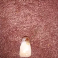 مهر یا نشان اشکانی|کلکسیون اشیاء عتیقه|اهواز, فاز ۲ پادادشهر|دیوار