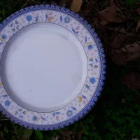 سلام ۲۸ عدد بشقاب گل آبی جدید|ظروف سرو و پذیرایی|ماکلوان, |دیوار