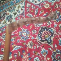 عود|سازهای سنتی|بندرعباس, |دیوار